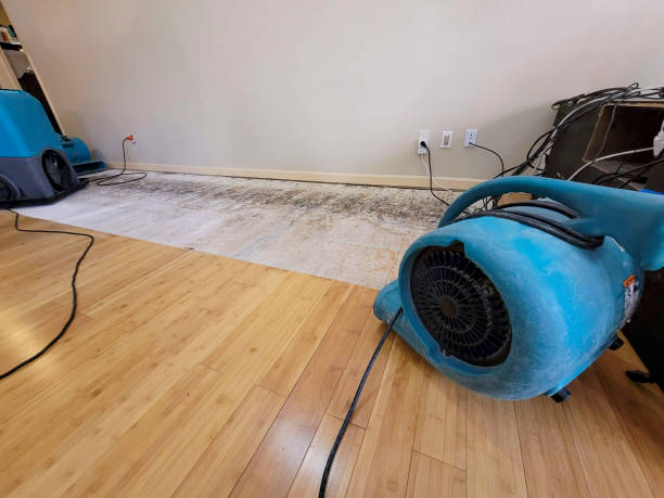 Professional Water Removal technician working in Cascade, CO